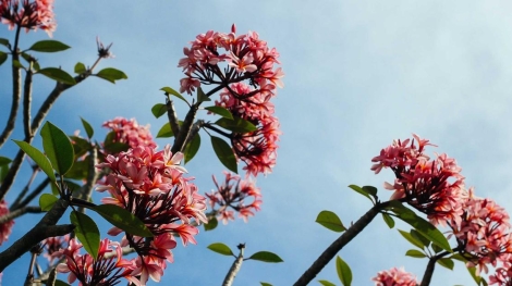 Bahcelievler bolgesi bilgisayar alimi