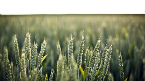 Bakirkoy bolgesi bilgisayar alimi