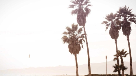 Basaksehir bolgesi bilgisayar alimi