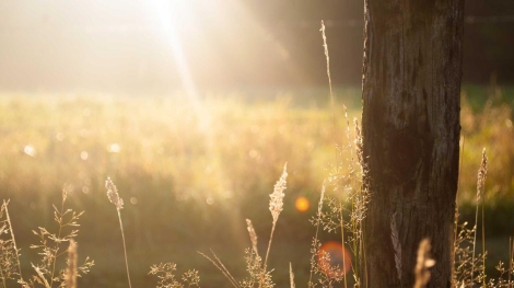 Bayrampasa bolgesi bilgisayar alimi