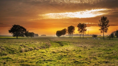 Besiktas bolgesi bilgisayar alimi