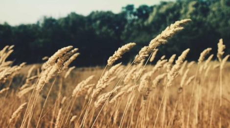 Beylikduzu bolgesi bilgisayar alimi