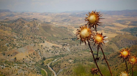 Esenyurt bolgesi bilgisayar alimi