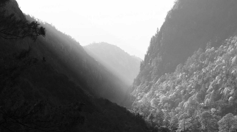 Gaziosmanpasa bolgesi bilgisayar alimi