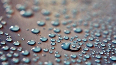 Gungoren bolgesi bilgisayar alimi