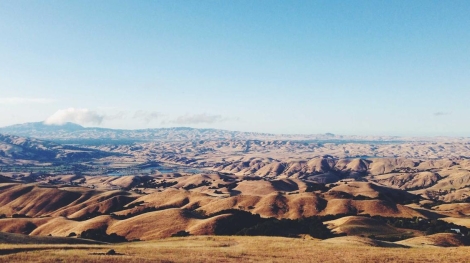Maltepe bolgesi bilgisayar alimi