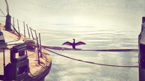 Silivri bolgesi bilgisayar alimi