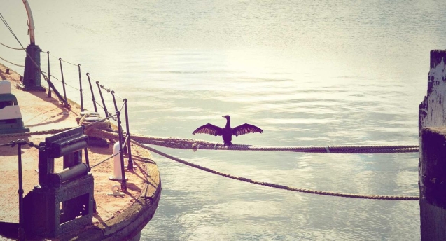 Silivri bolgesi bilgisayar alimi