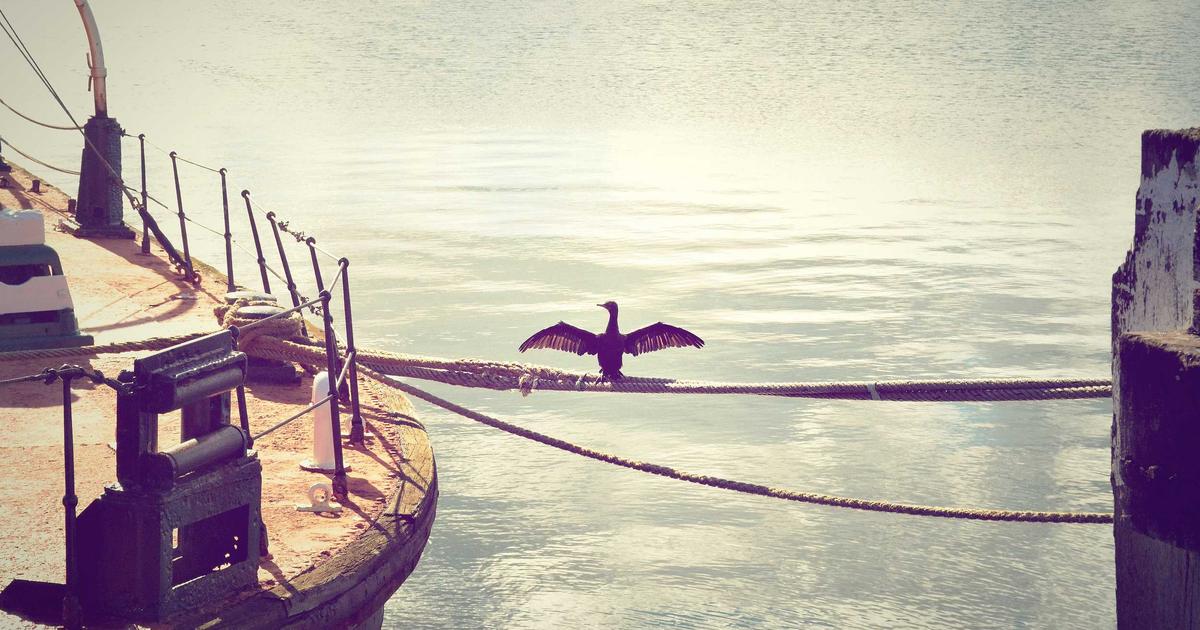 İstanbul Silivri Tüm İlçelerden Masaüstü ve Laptop Alımı