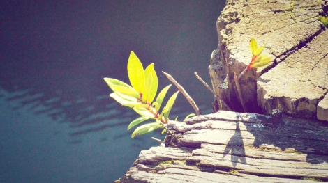 Tuzla bolgesi bilgisayar alimi